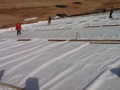 兩布一膜（復(fù)合土工膜）