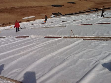 復(fù)合土工膜